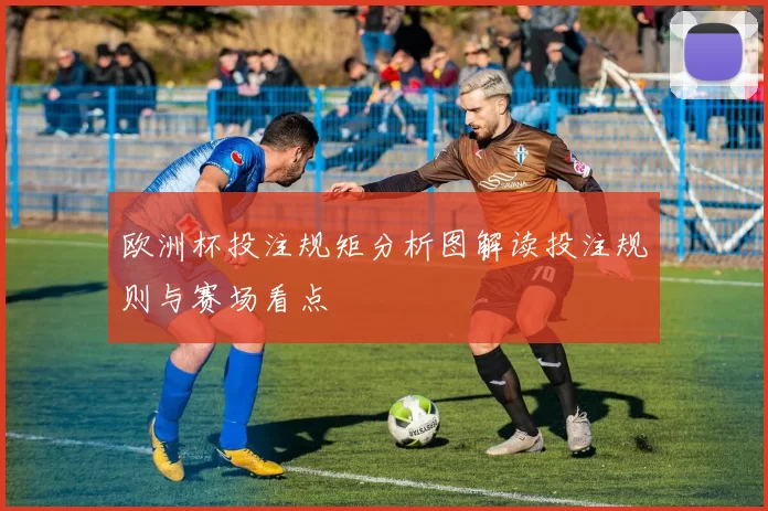 欧洲杯投注规矩分析图解读投注规则与赛场看点