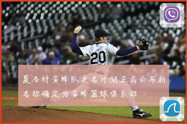 夏洛特黄蜂队更名计划正式公布新名称确定为黄蜂篮球俱乐部