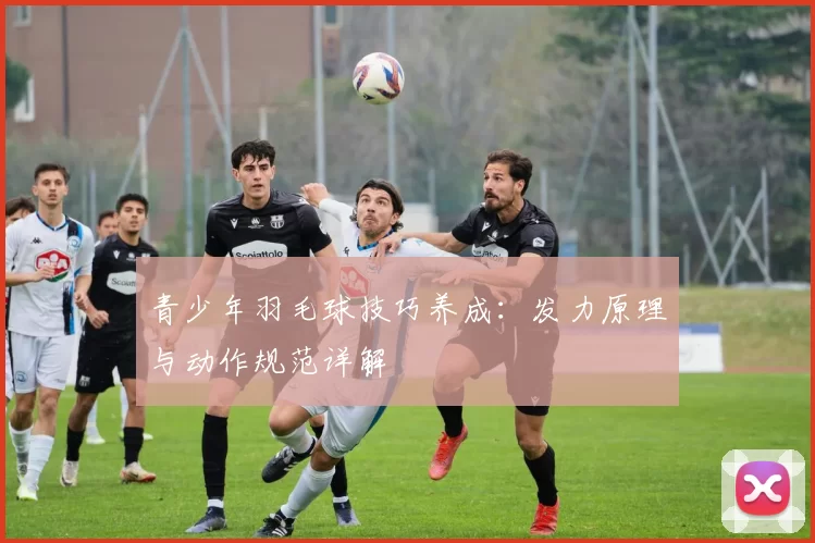 青少年羽毛球技巧养成：发力原理与动作规范详解
