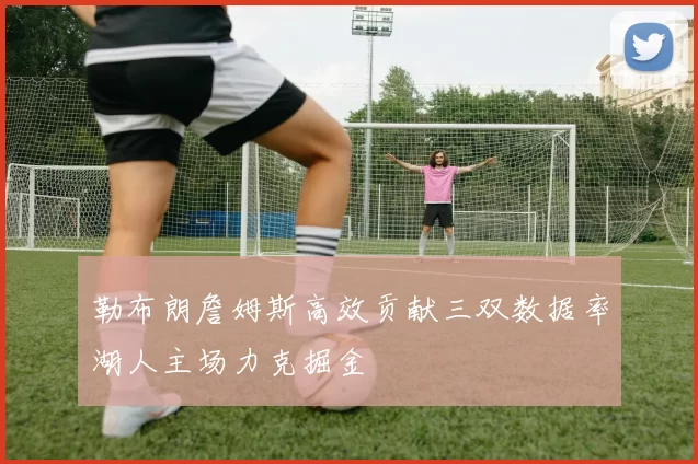 勒布朗詹姆斯高效贡献三双数据率湖人主场力克掘金