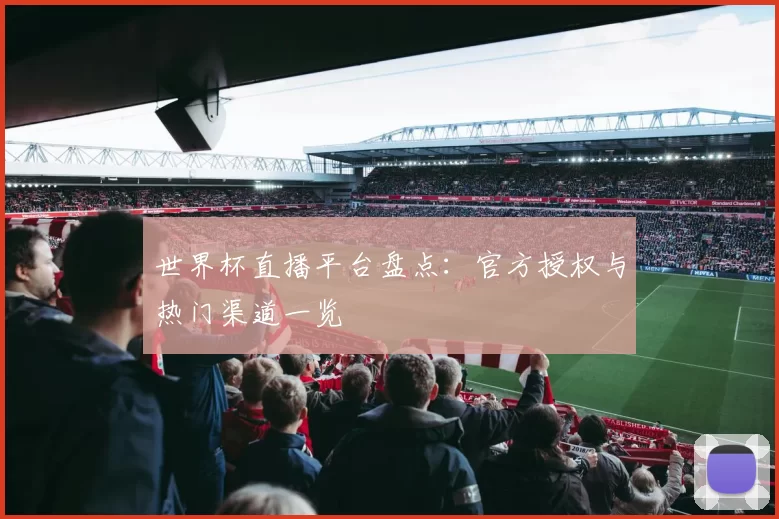 世界杯直播平台盘点:官方授权与热门渠道一览