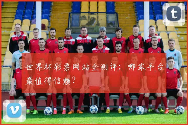 世界杯彩票网站全测评:哪家平台最值得信赖?