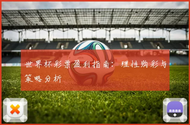 世界杯彩票盈利指南：理性购彩与策略分析