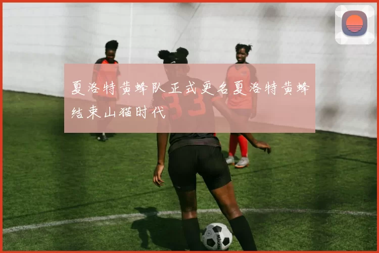 夏洛特黄蜂队正式更名夏洛特黄蜂结束山猫时代