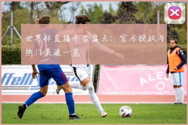 世界杯直播平台盘点:官方授权与热门渠道一览