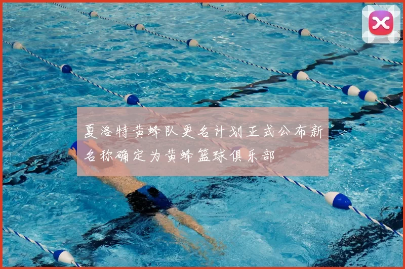 夏洛特黄蜂队更名计划正式公布新名称确定为黄蜂篮球俱乐部