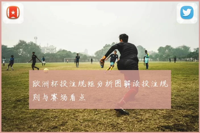 欧洲杯投注规矩分析图解读投注规则与赛场看点