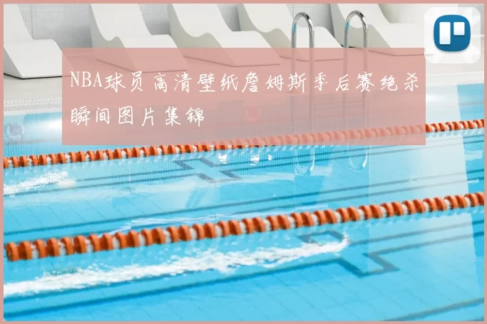 NBA球员高清壁纸詹姆斯季后赛绝杀瞬间图片集锦